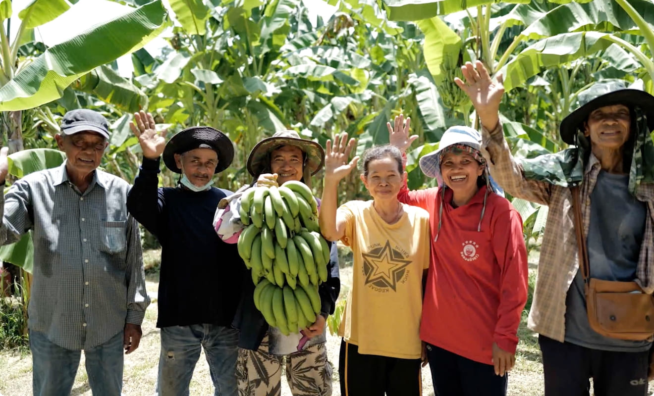 次世代バナナ農家育成プロジェクト